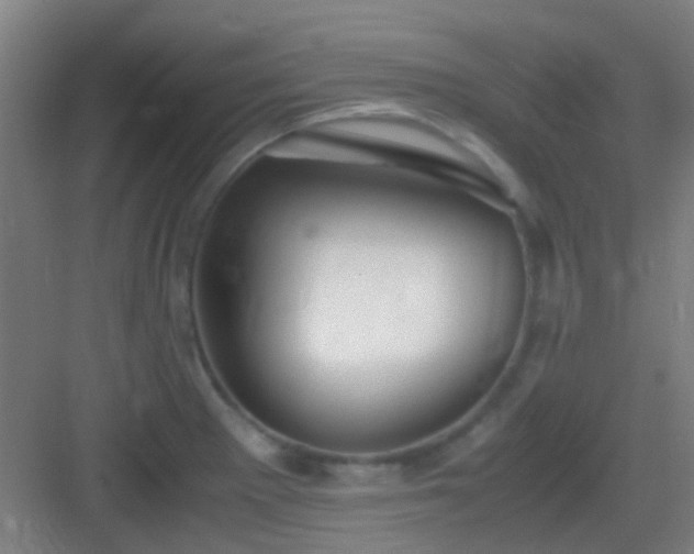 X0000083061281200702091454