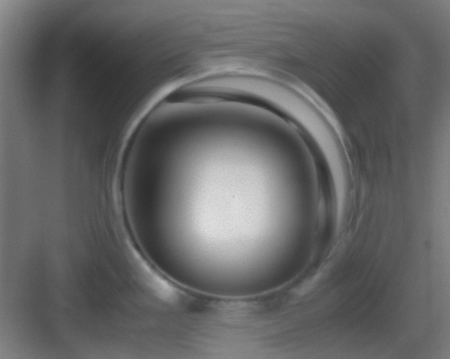 X0000083061293200702091454