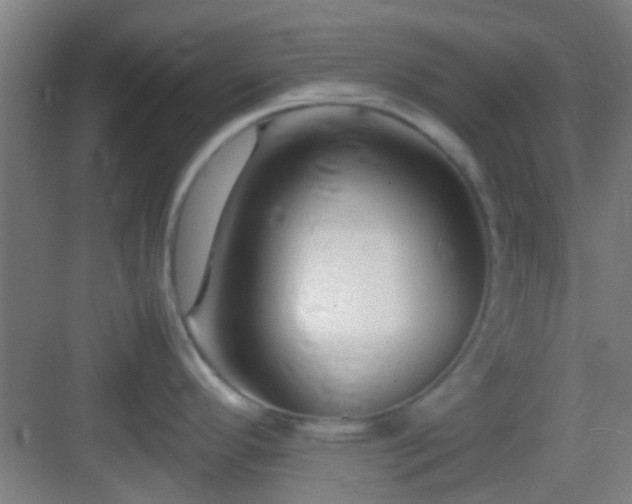 X0000083061296200702091454