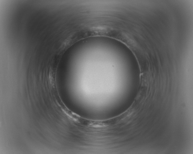 X0000083061298200702091453
