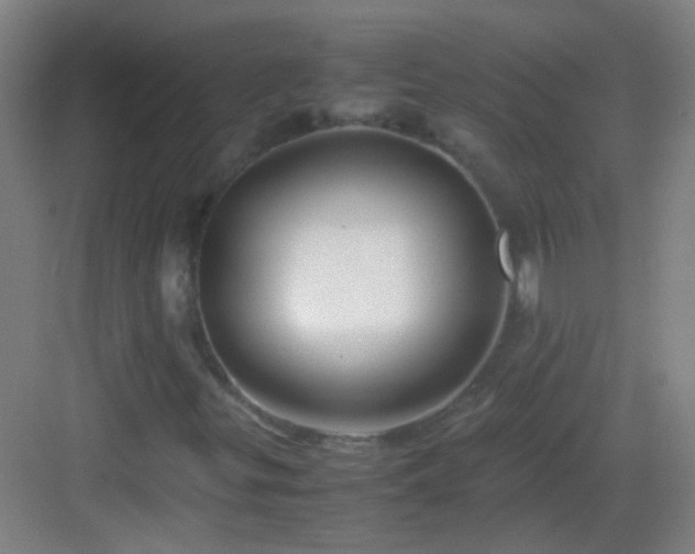 X0000083061299200702091453