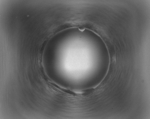 X0000083061300200702091453