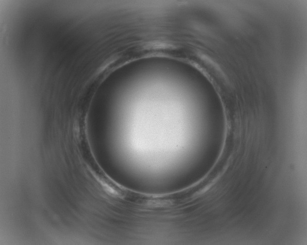 X0000083061305200702091453