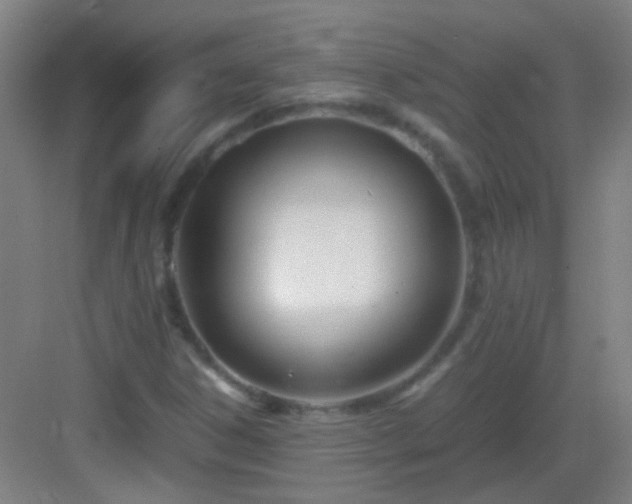 X0000083061306200702091453