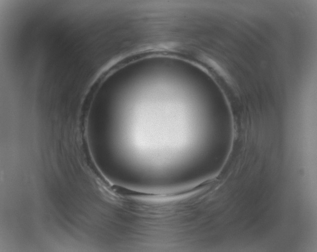 X0000083061308200702091453