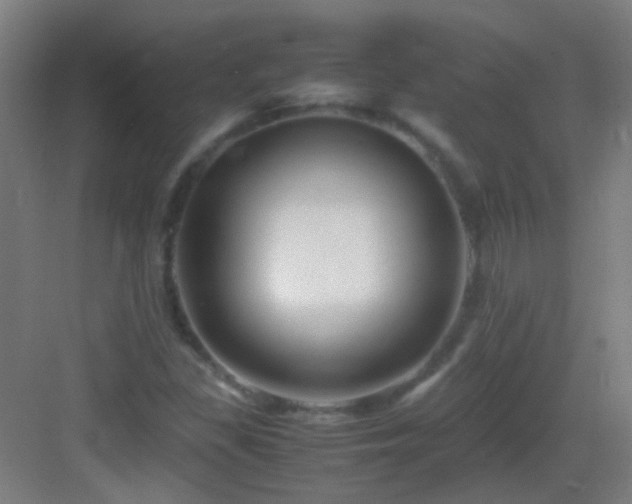 X0000083061309200702091454