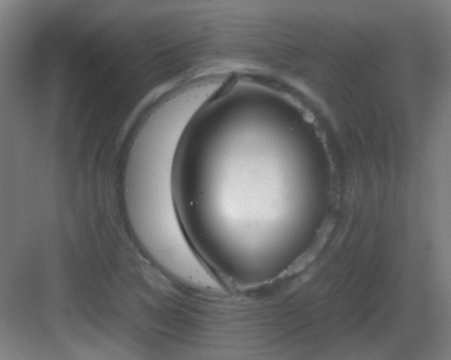 X0000083061314200702091454