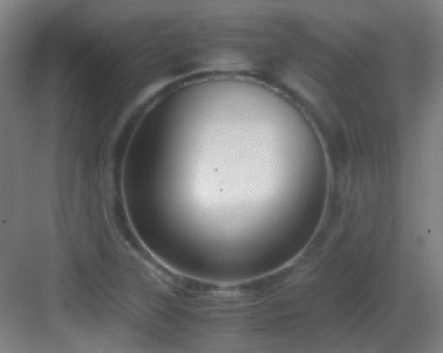 X0000083061315200702091454