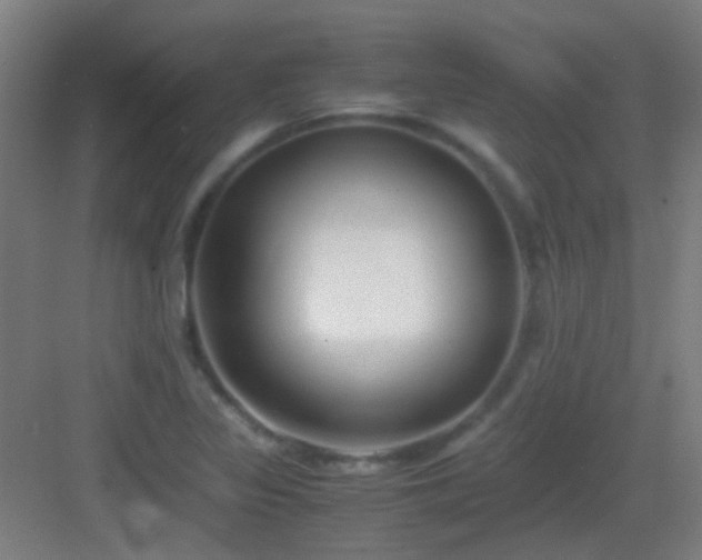 X0000083061317200702091454