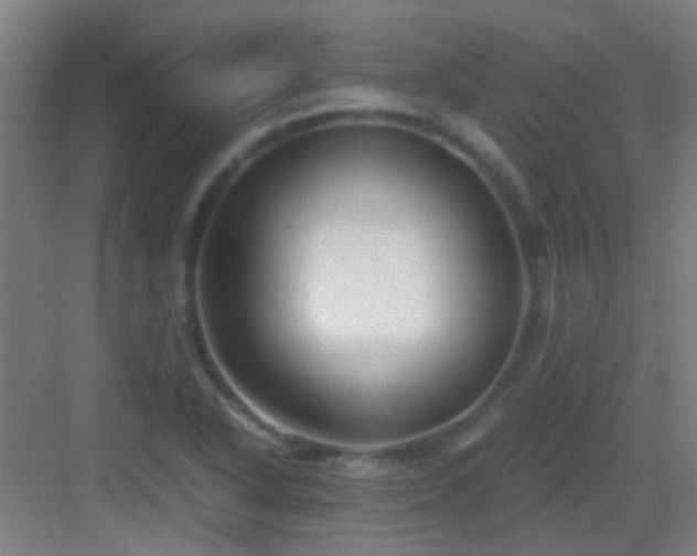 X0000083061318200702091454