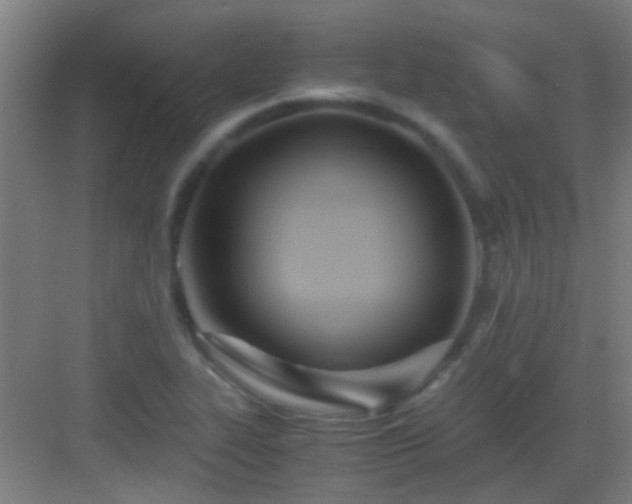 X0000083061319200702091454