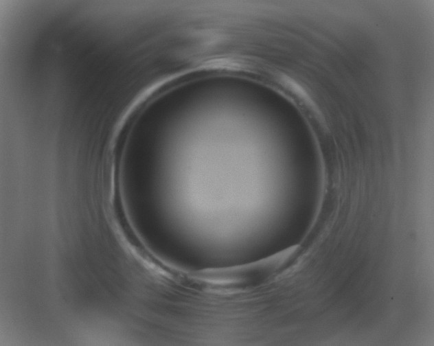 X0000083061323200702091454