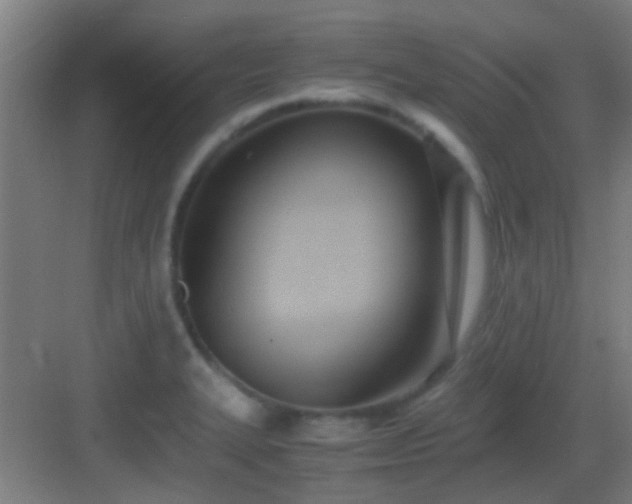 X0000083061327200702091454