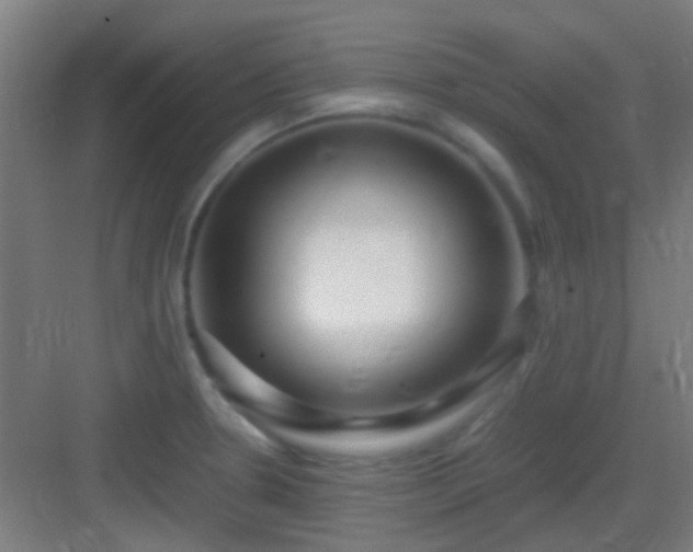 X0000083061330200702091454