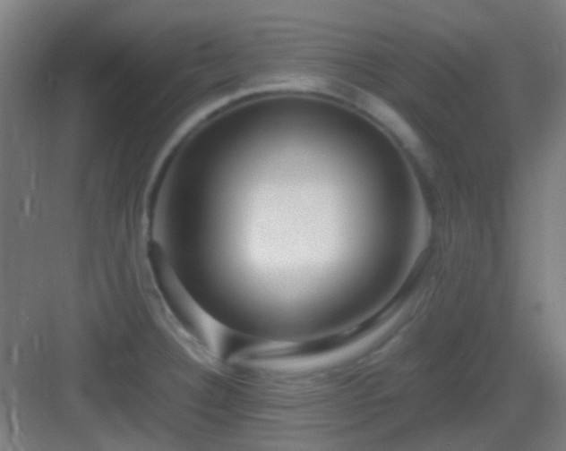 X0000083061332200702091454