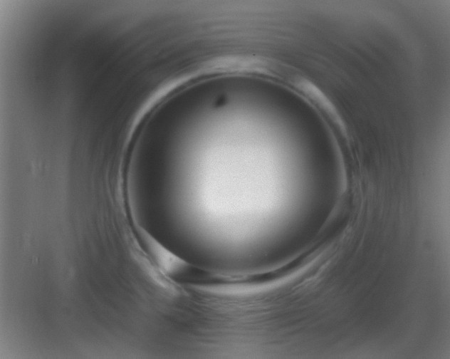 X0000083061336200702091454