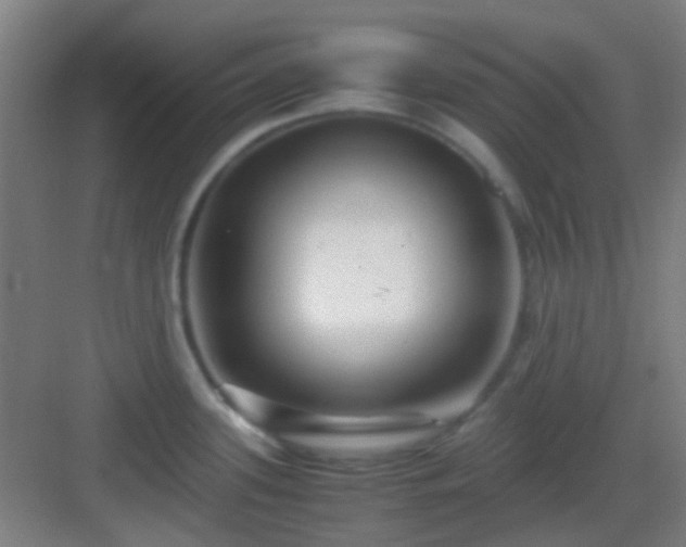 X0000083061339200702091454