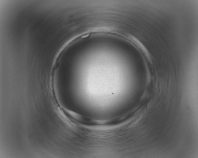X0000083061340200702091454