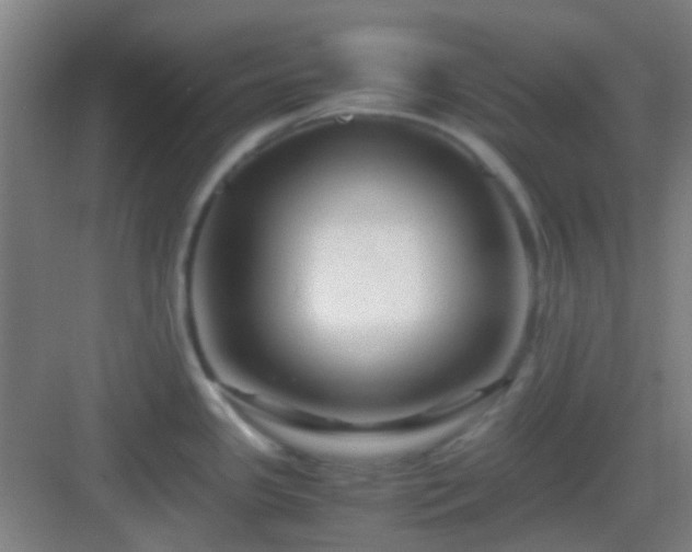 X0000083061341200702091454