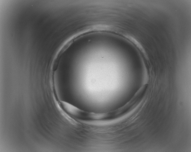 X0000083061342200702091454