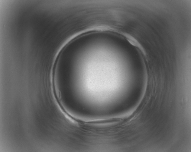 X0000083061343200702091454