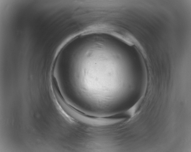 X0000083061344200702091454