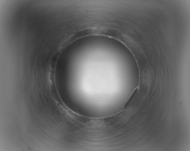 X0000083061346200702091453