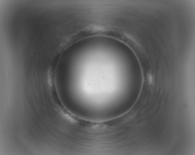 X0000083061348200702091453