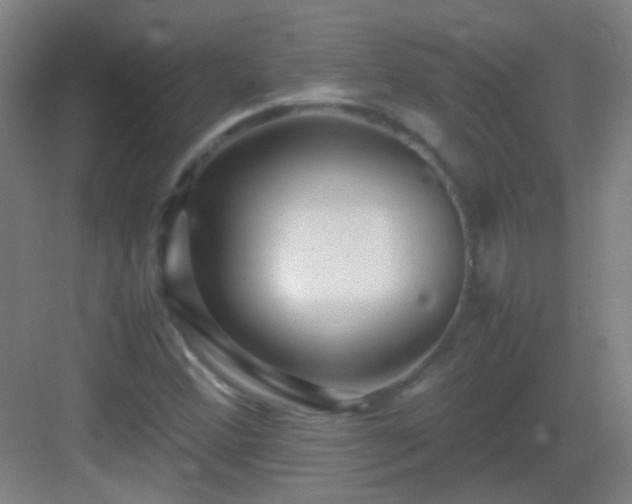 X0000083061356200702091453