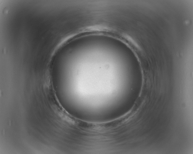 X0000083061358200702091453