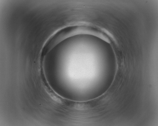 X0000083061364200702091453