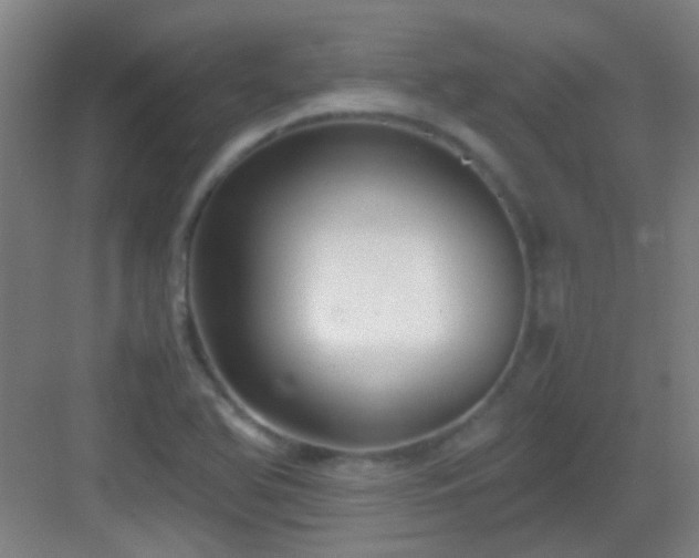 X0000083061366200702091453