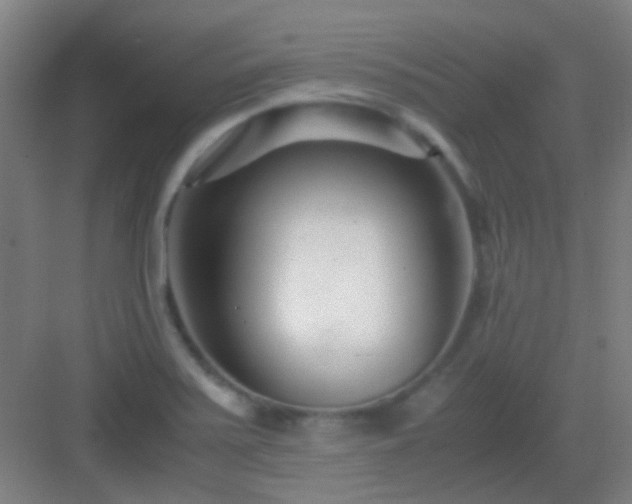 X0000083061371200702091453