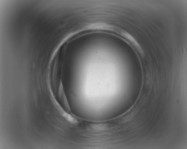 X0000083061376200702091453