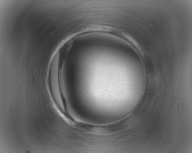 X0000083061379200702091453