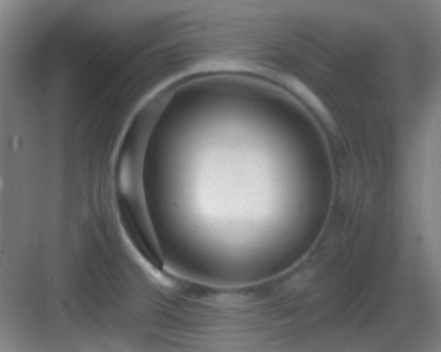 X0000083061380200702091453