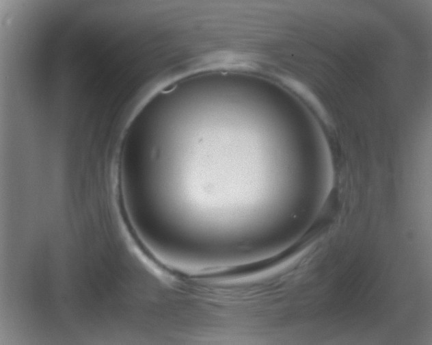 X0000083061383200702091453