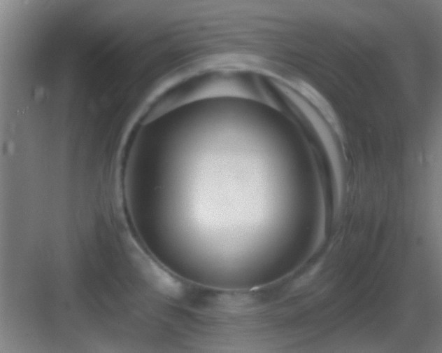 X0000083061384200702091453