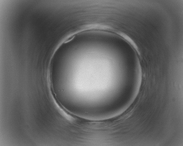 X0000083061391200702091453