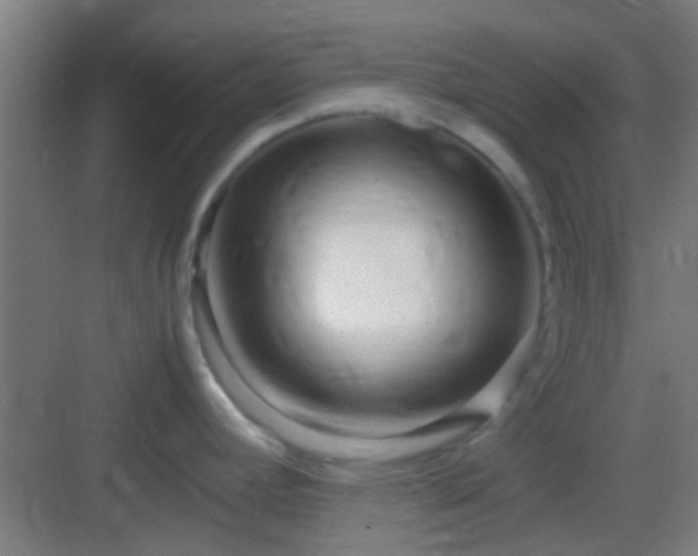X0000083061392200702091452
