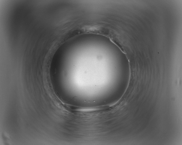 X0000083061393200702091452