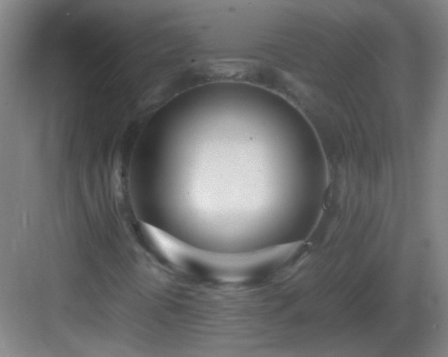 X0000083061394200702091452