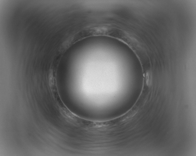 X0000083061395200702091452