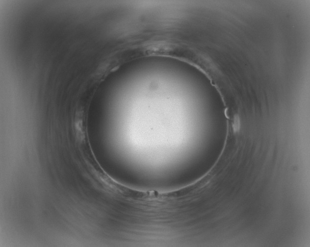 X0000083061396200702091452