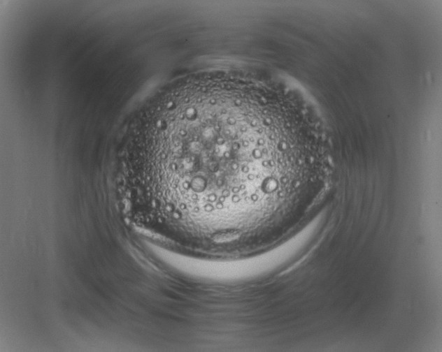 X0000083061403200702091452