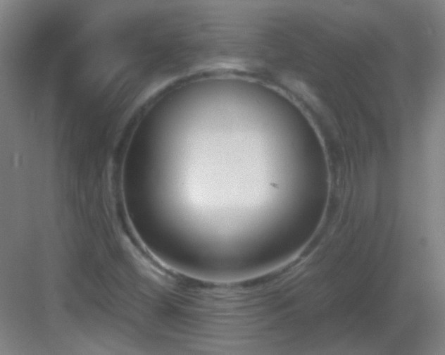 X0000083061404200702091452