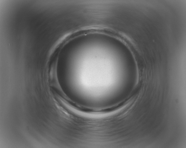 X0000083061406200702091452