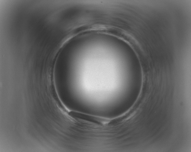 X0000083061409200702091452