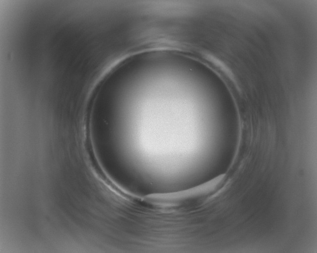X0000083061415200702091452