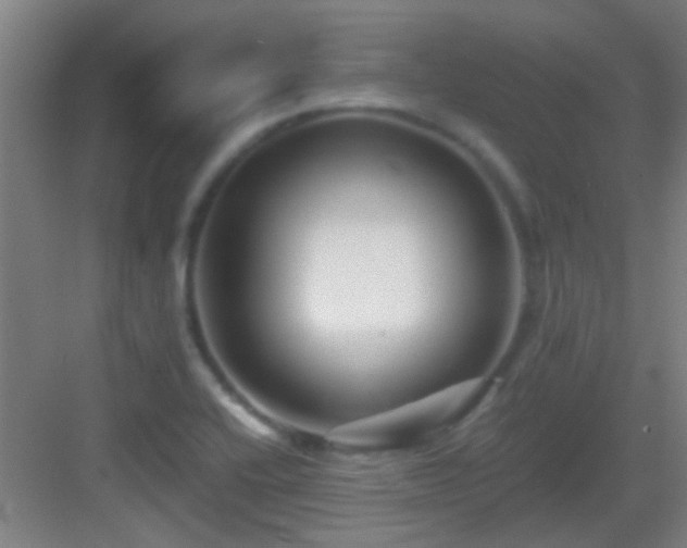 X0000083061416200702091452